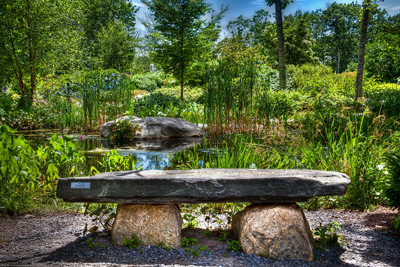 Image USA Coastal Maine Botanical HDR Nature Pond Gardens stone
