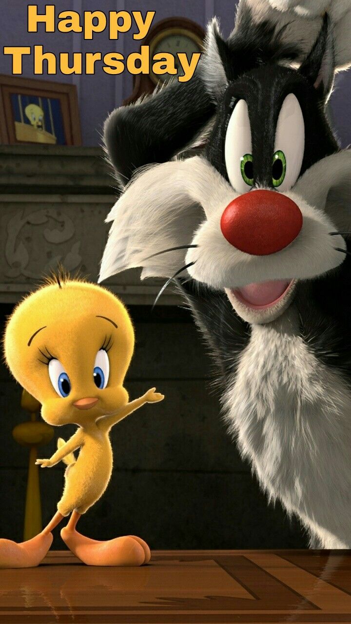 Happy Thursday. Piu piu e frajola, Looney tunes, Wallpaper de desenhos animados