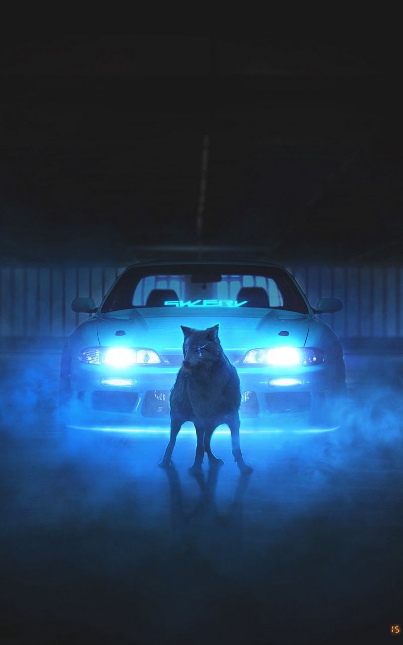 Neon Car Driving To The Moon Wolf Wallpaper Wallpaper Popular Neon Car Driving To The Moon Wolf Wallpaper Background