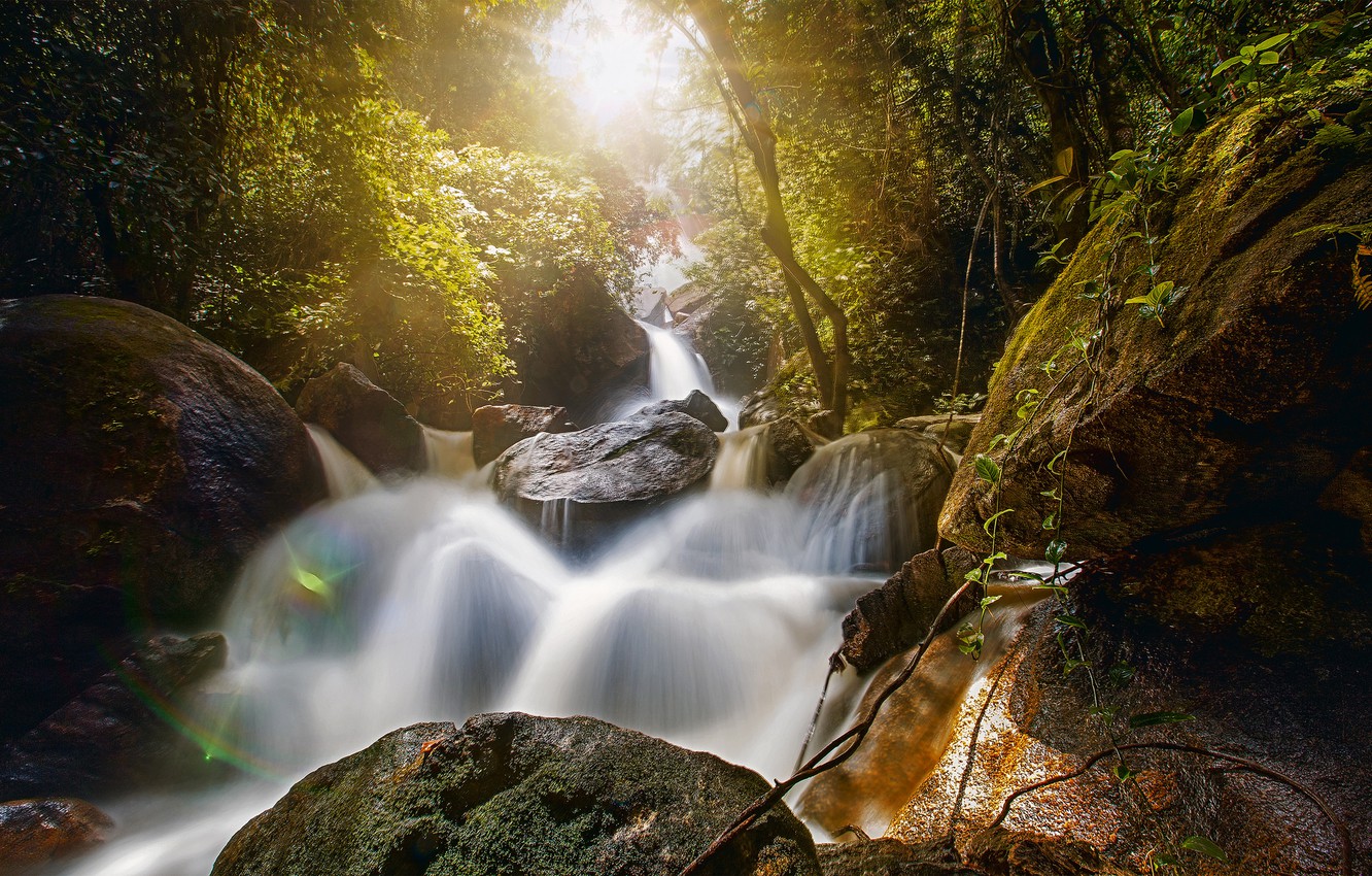 Wallpaper forest, stones, waterfall, Brazil, boulders, Brazil, Pernambuco, Pernambuco, Bonito, the Bridal veil falls, Bonito, Bridal Veil Fall, the fátyol waterfall image for desktop, section природа