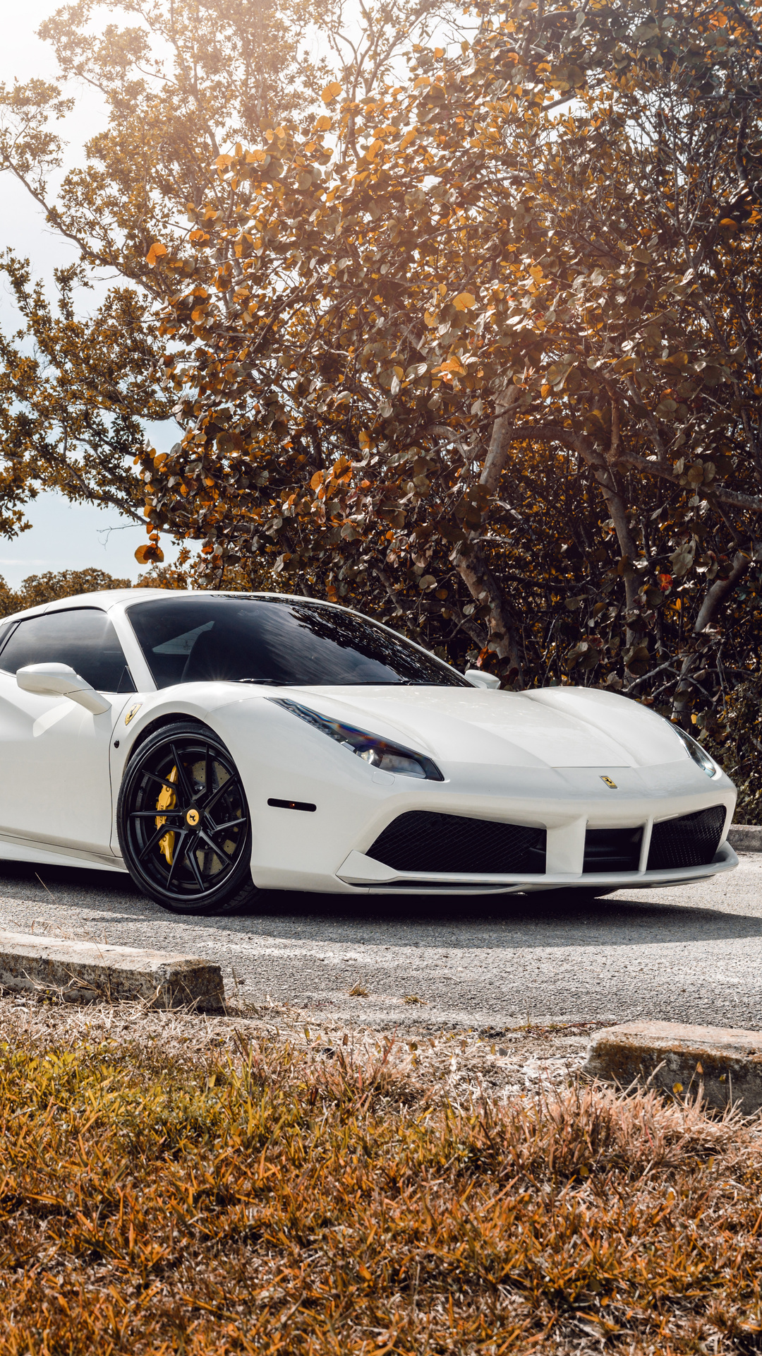 White Ferrari 488 8k iPhone 7, 6s, 6 Plus, Pixel xl , One Plus 3, 3t, 5 HD 4k Wallpaper, Image, Background, Photo and Picture