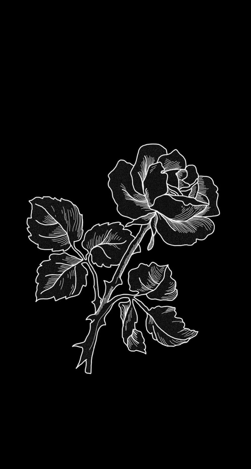 Black and White Rose Drawing Wallpaper Free Black and White Rose Drawing Background