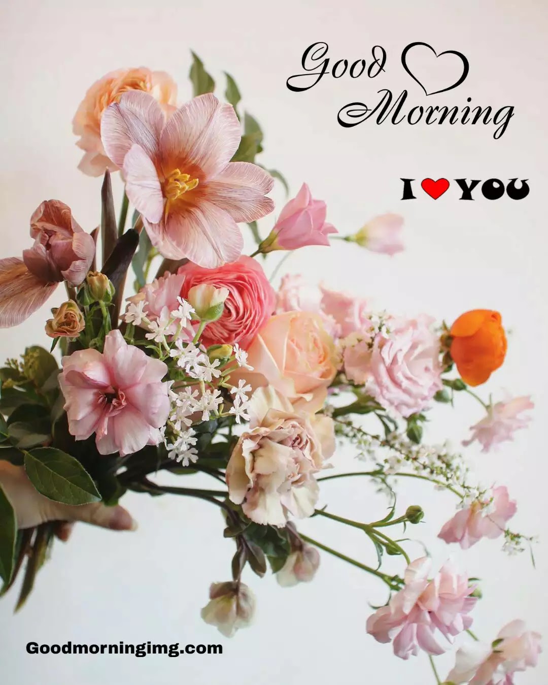 Good Morrning Flowers Image, Photo Free Download