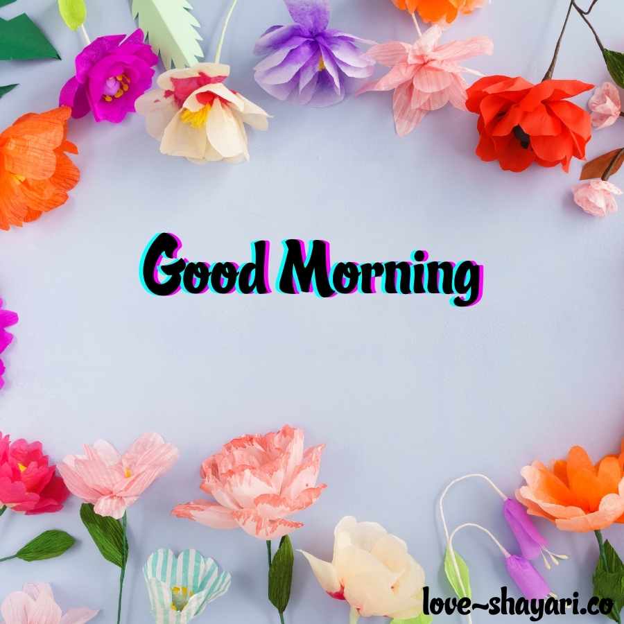 Morning Flowers Wallpapers - Wallpaper Cave