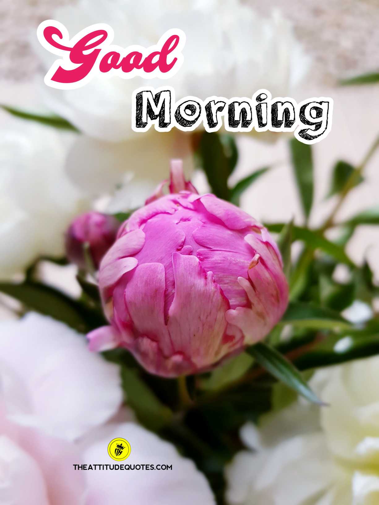 Good morning flower