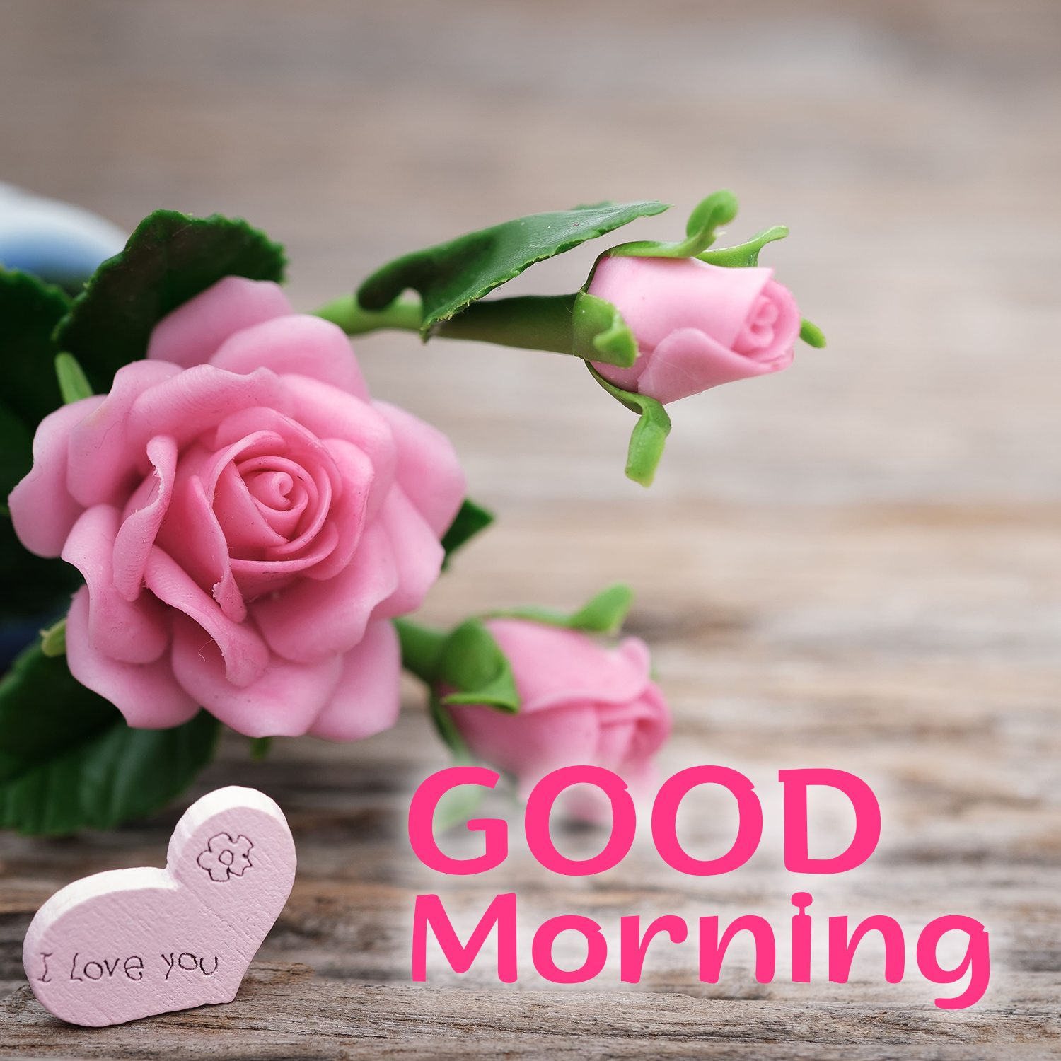 Good Morning Flowers Image for your Boyfriend and Girlfriend Morning Image, Quotes, Wishes, Messages, greetings & eCards