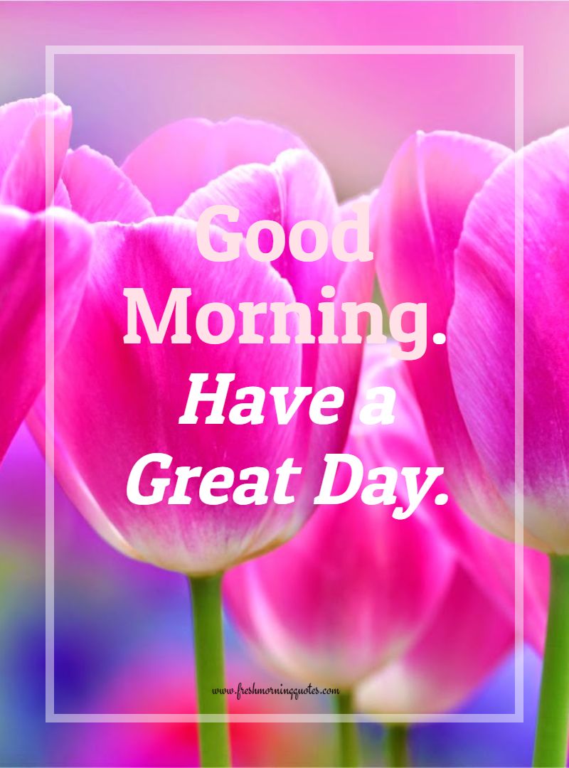 Good Morning Tulip Flower Morning Flowers And Quotes