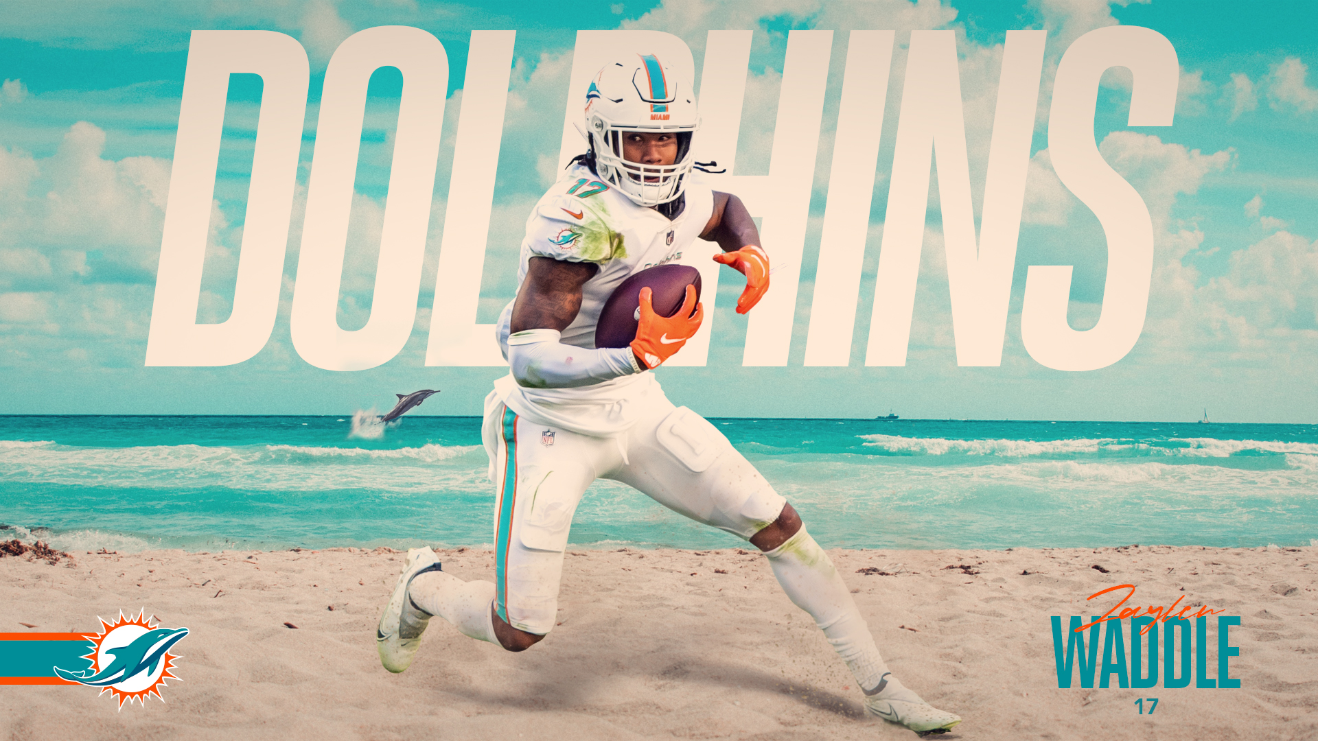 Sports Miami Dolphins HD Wallpaper