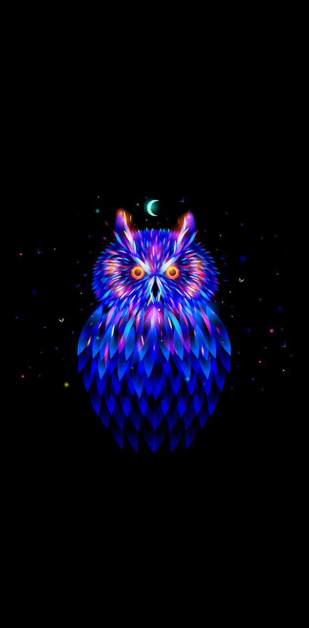 Neon Owl wallpaper