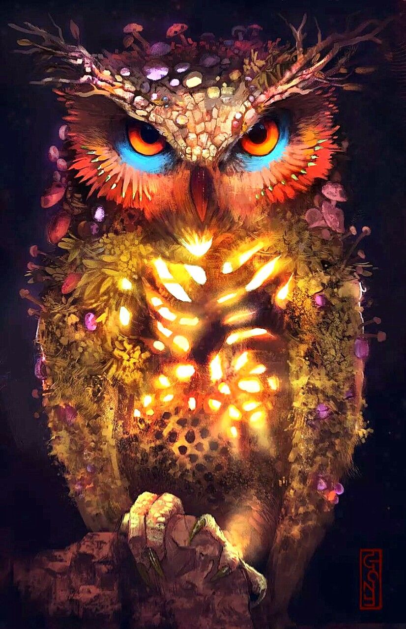 Neon Owl by Gonzalo Ruela. Corujas wallpaper, Fotos de corujas, Coruja colorida