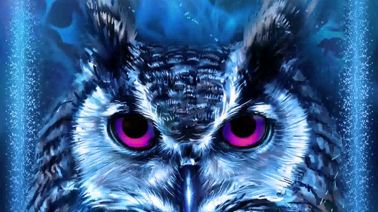 Samsung Theme Live Wallpaper Blue Neon Owl