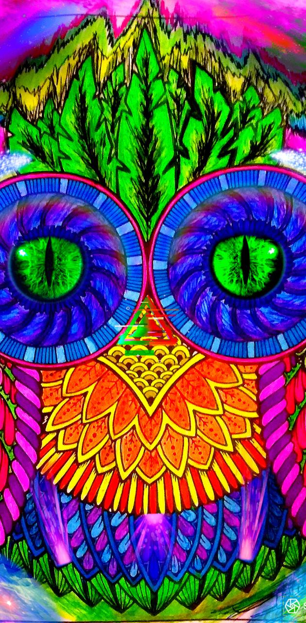 Owl of Tron wallpaper