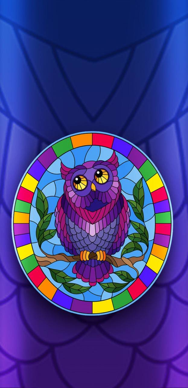 Cute Colorful Owl Wallpaper