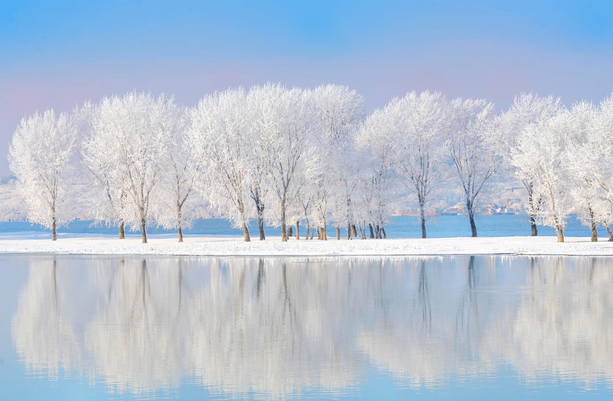 Frosty trees along the Danube river