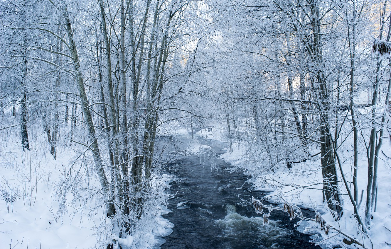 Wallpaper river, trees, winter, snow, branches, frosty image for desktop, section природа