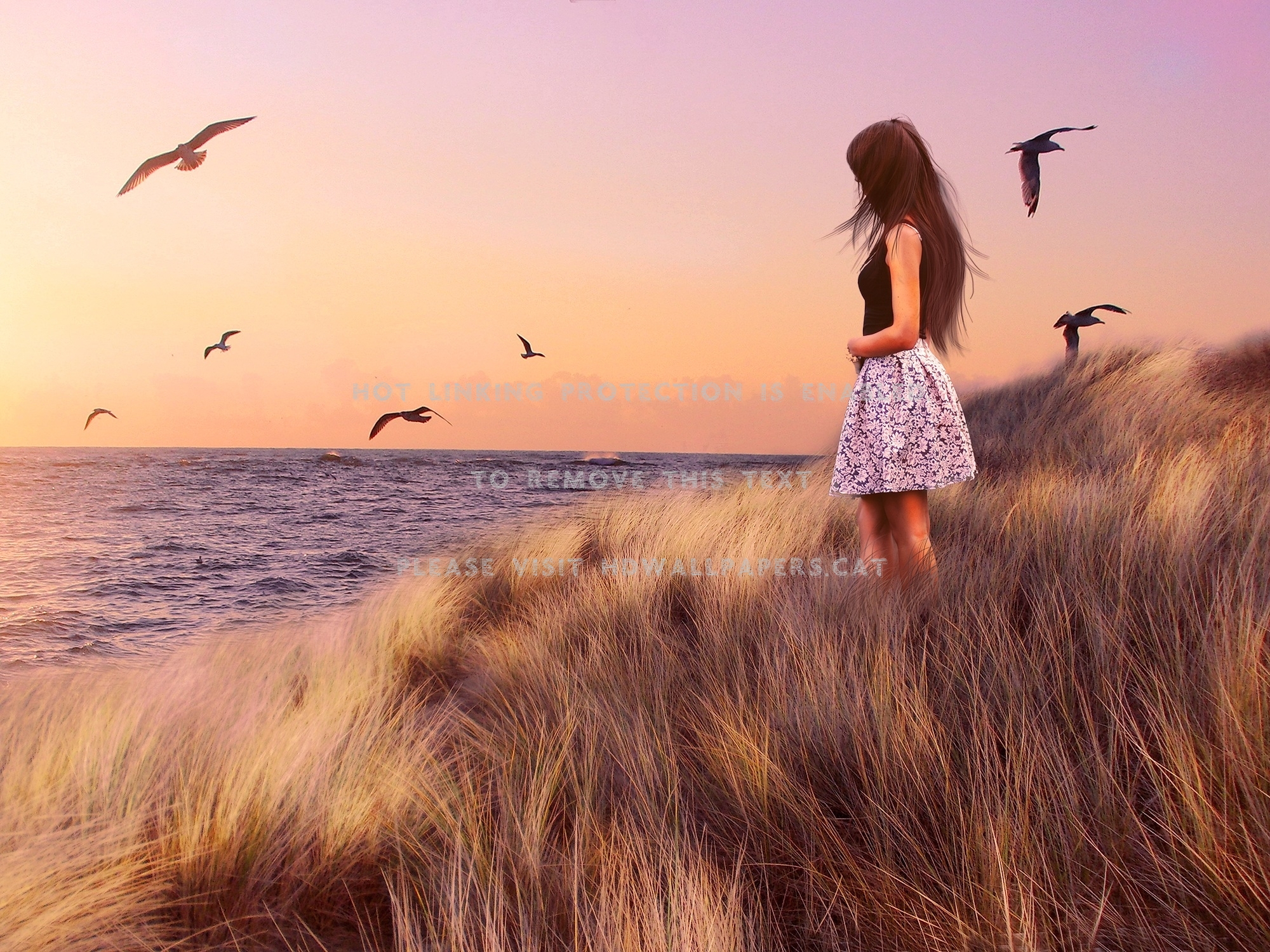 sunset ocean birds mer summer sea view girl