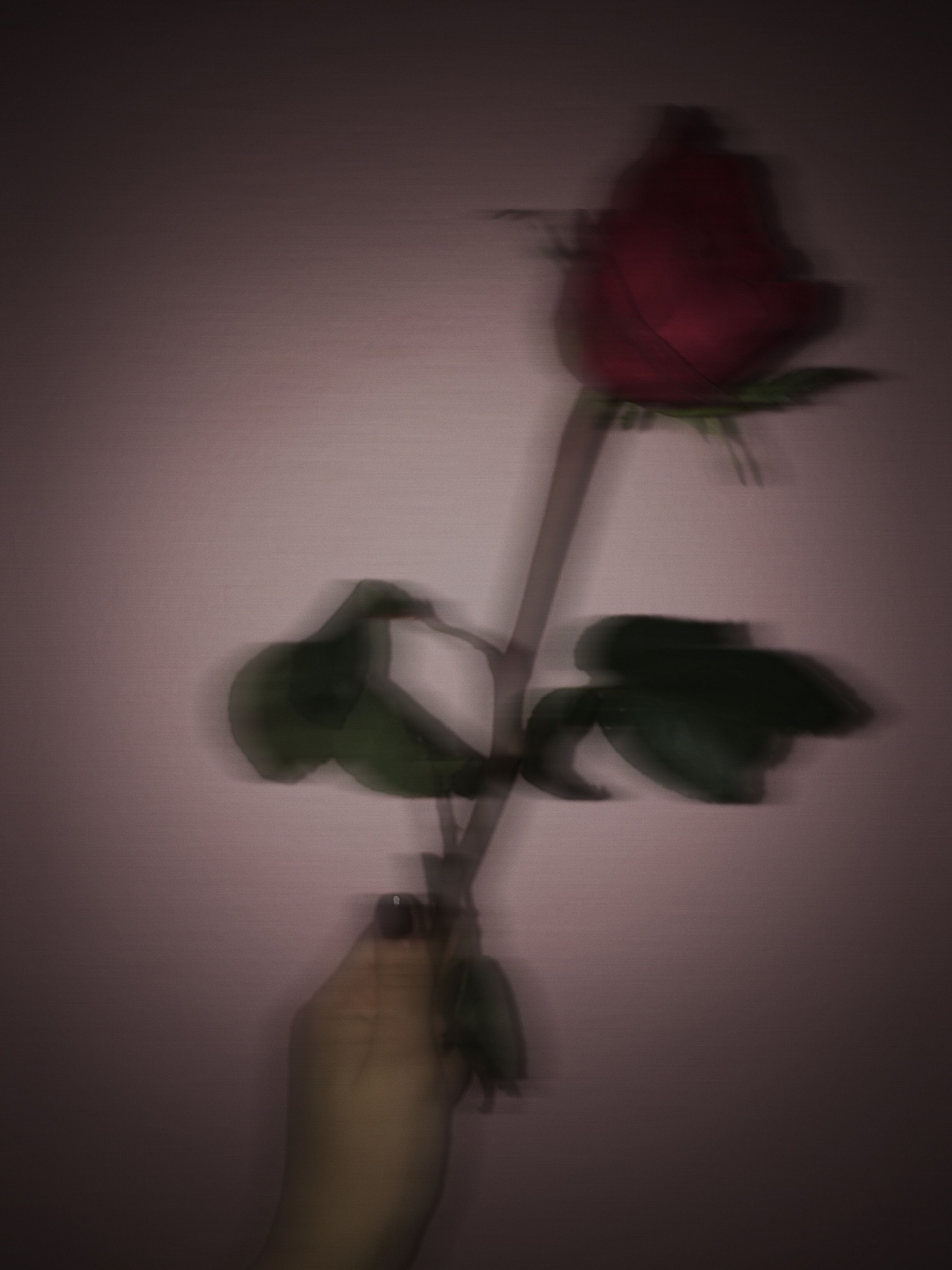 sad-flowers-aesthetic-wallpapers-wallpaper-cave