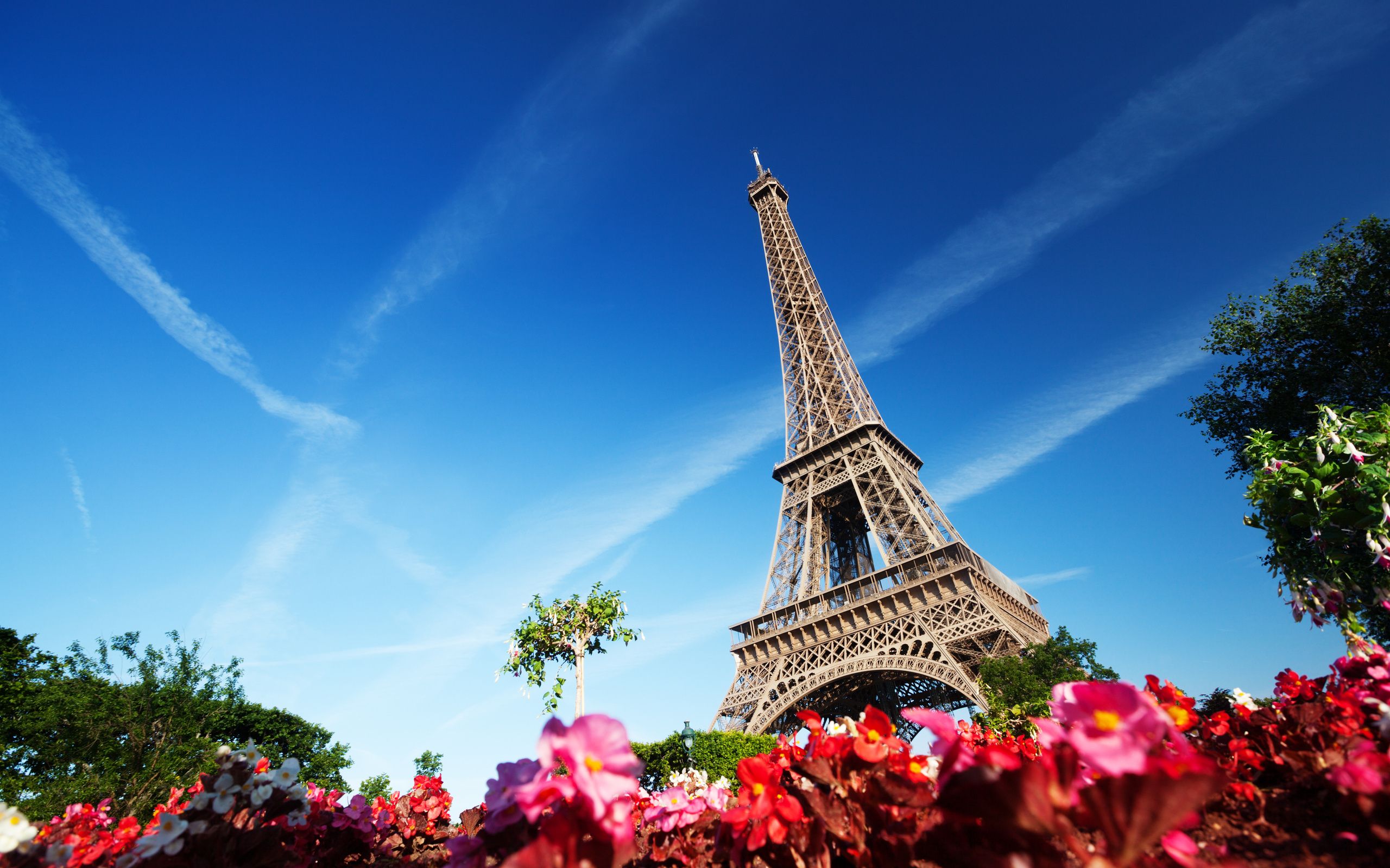 Eiffel Tower and Flowers Wallpaper