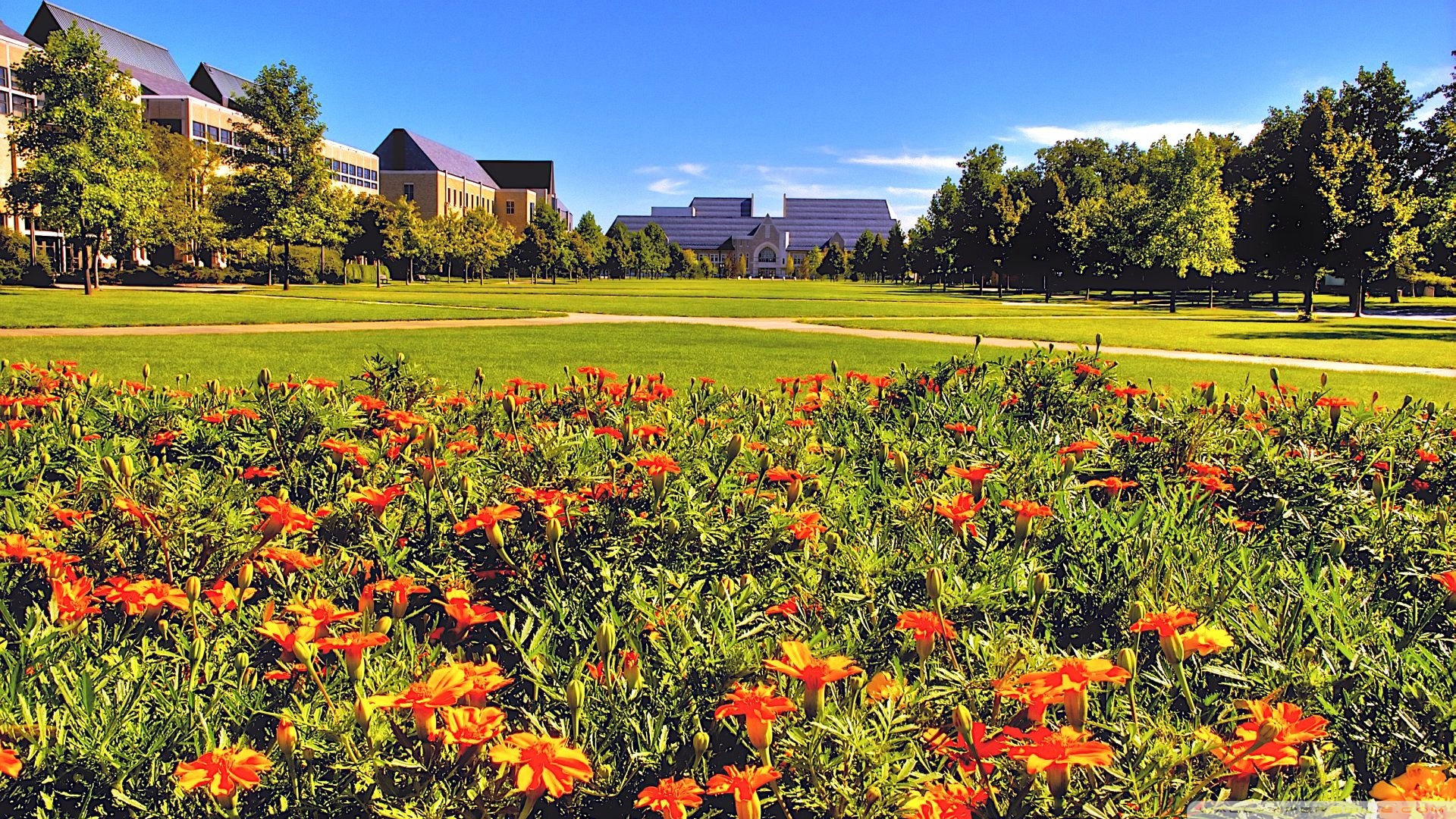 Summer Landscape Nature 16 Ultra HD Desktop Background Wallpaper for 4K UHD TV, Widescreen & UltraWide Desktop & Laptop