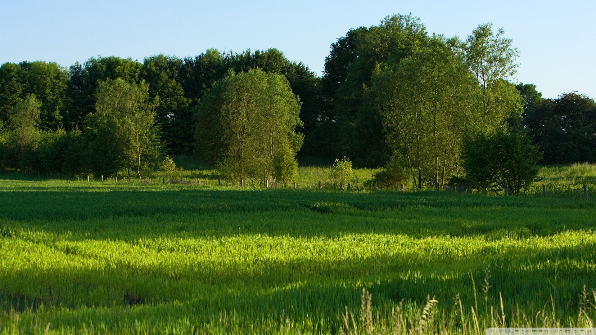 Summer Landscape Nature 9 Ultra HD Desktop Background Wallpaper for 4K UHD TV, Widescreen & UltraWide Desktop & Laptop