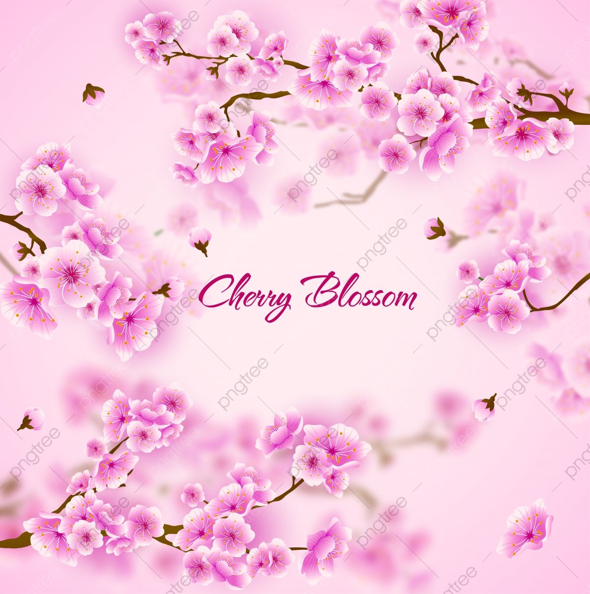 Pink Cherry Blossom Sakura Floral Background Orchid Flowers Wallpaper Spring Festival, Wedding, Greeting, Roses Background Image for Free Download