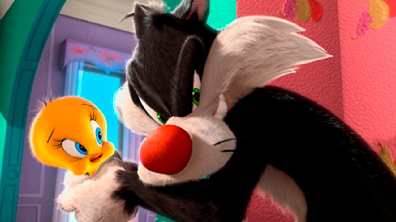 Download tawt image for free