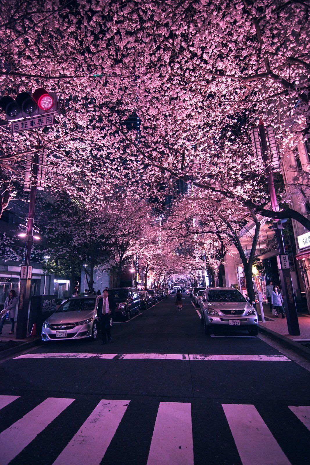 11:11 on Twitter. Aesthetic japan, Cherry blossom japan, Japan photography