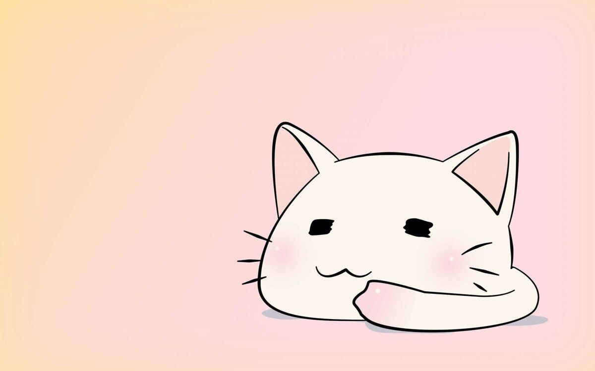 Anime Cat Wallpaper HD Check the best collection of HD anime cat background for desktop laptop tablet. HD anime wallpaper, Cute anime cat, Cute anime wallpaper