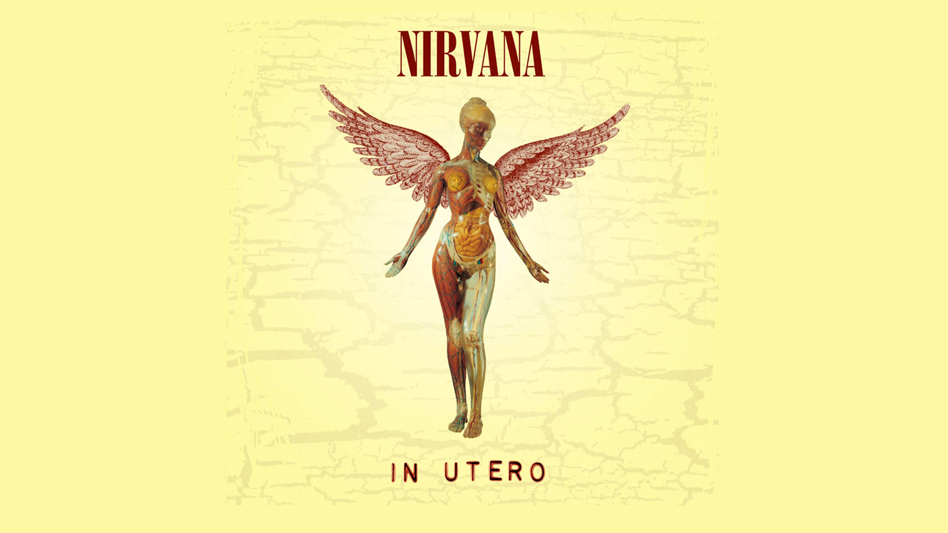 Nirvana HD Wallpaper and Background