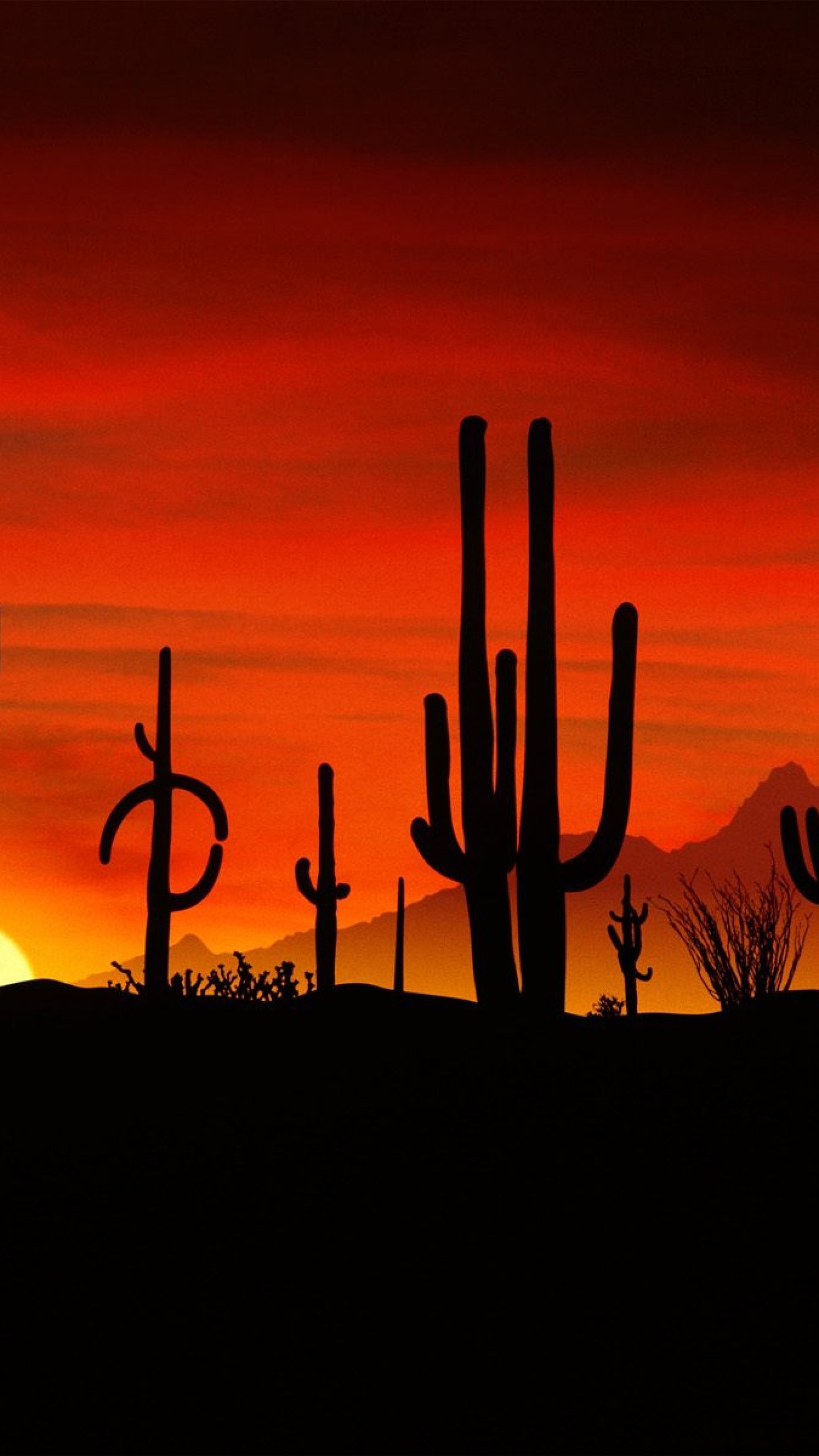 Desert Cactus Sunset Wallpaper Free Desert Cactus Sunset Background