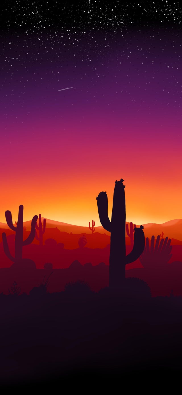 Cactus Sunset iPhone Wallpapers - Wallpaper Cave