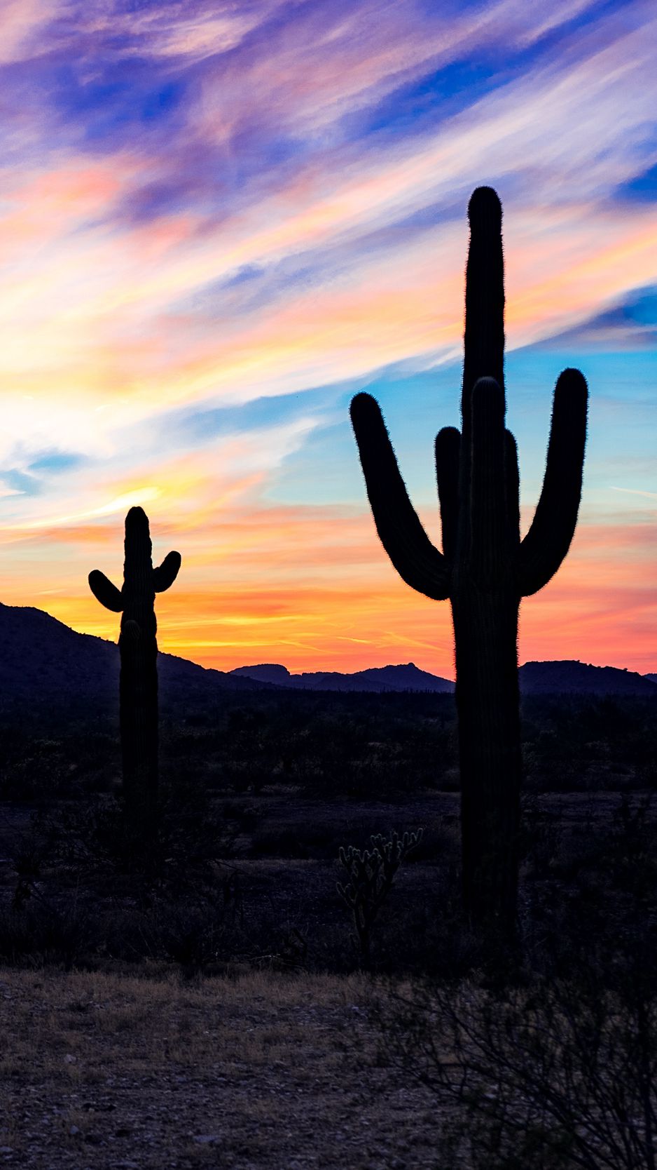 Download Wallpaper 938x1668 Cacti, Cactuses, Sunset, Desert, Clouds Iphone 8 7 6s 6 For Parallax HD Background