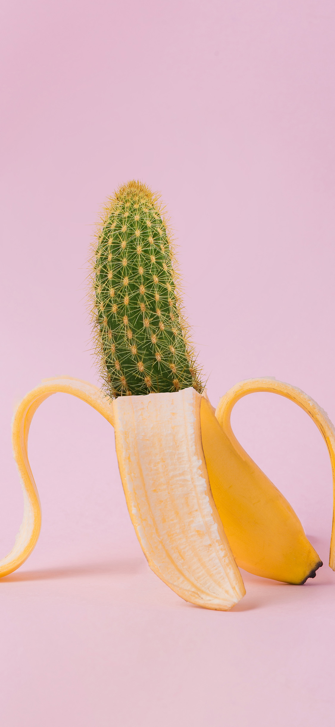 iPhone X wallpaper. art banana cactus