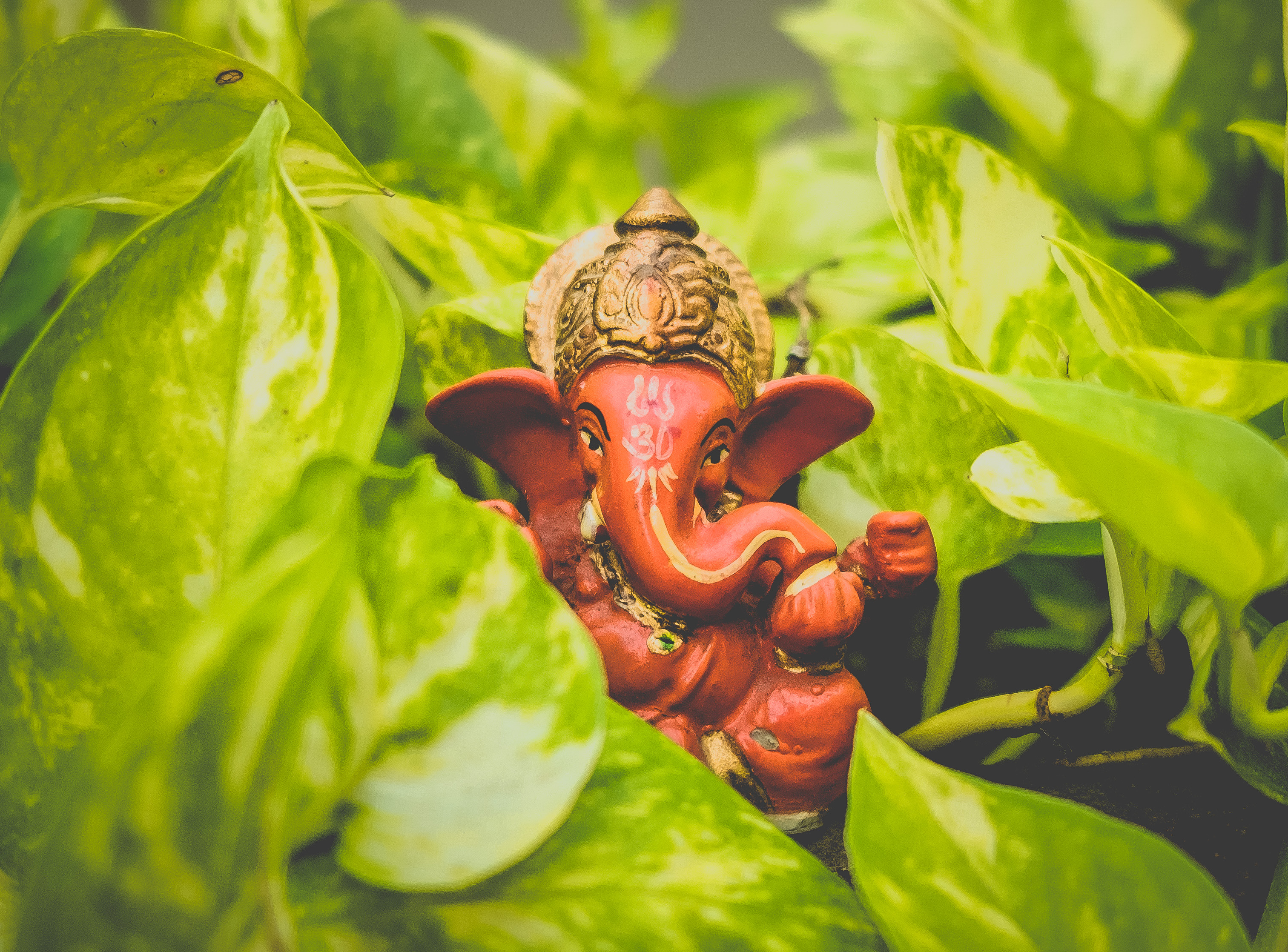 Best Ganesha Photo · 100% Free Downloads