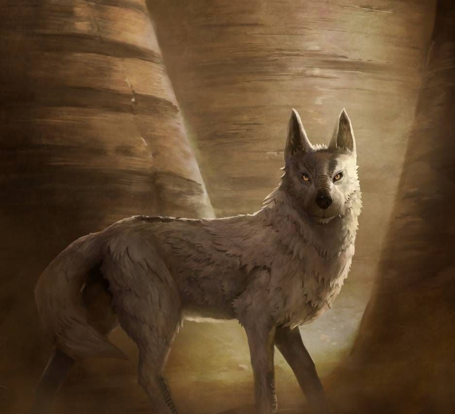 Loth Wolves Wallpapers - Wallpaper Cave