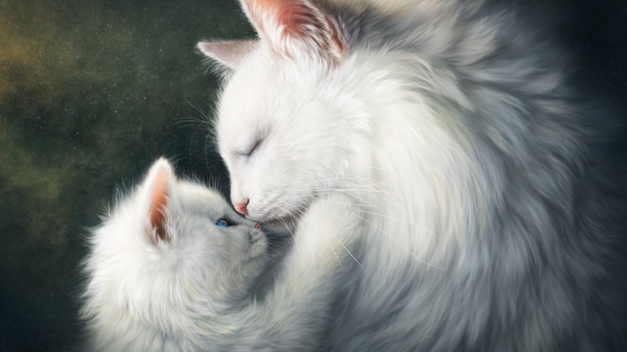 Stock Image love image, cats, HD, Stock Image