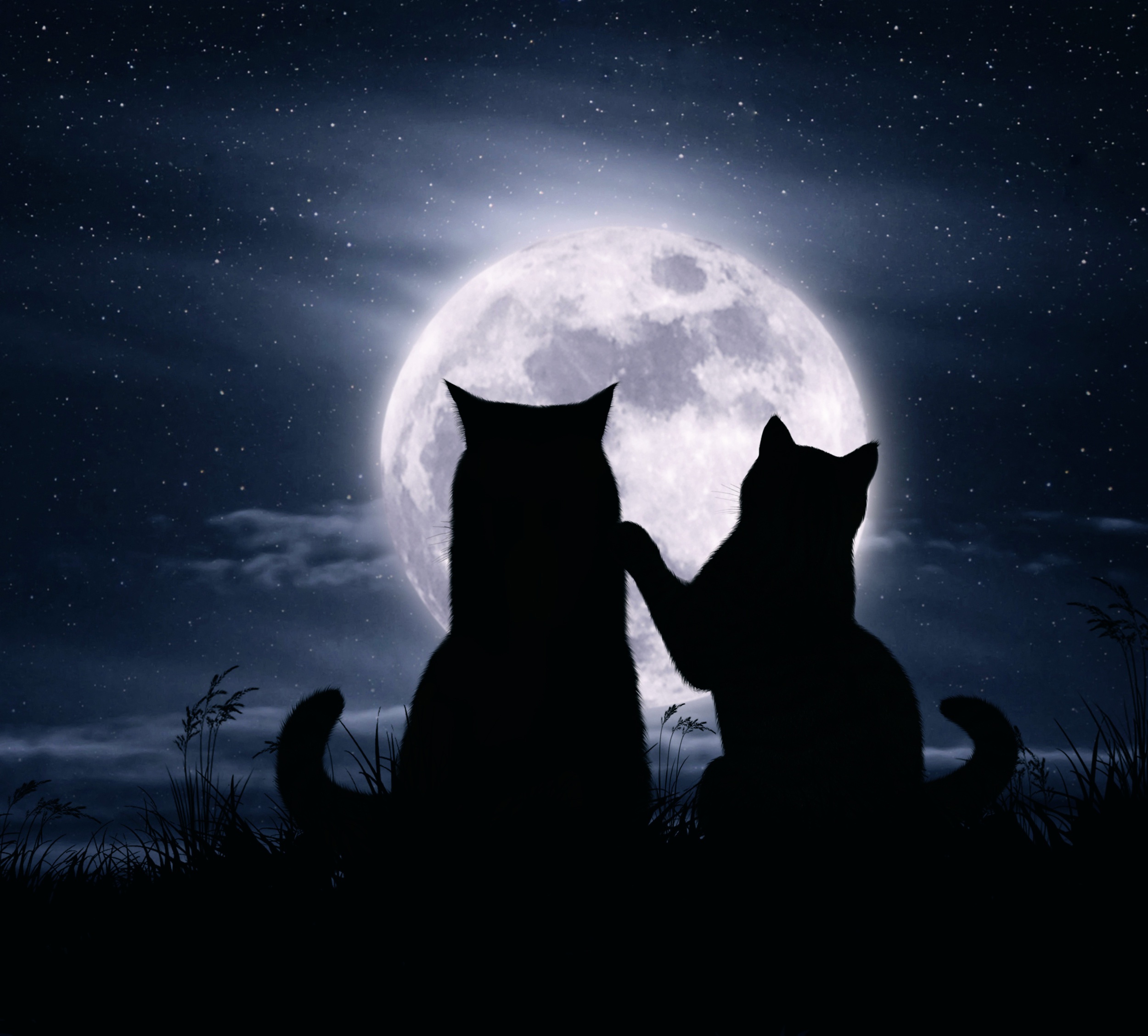 Desktop Wallpaper cat Silhouette Two Love Moon Animals 2500x2257