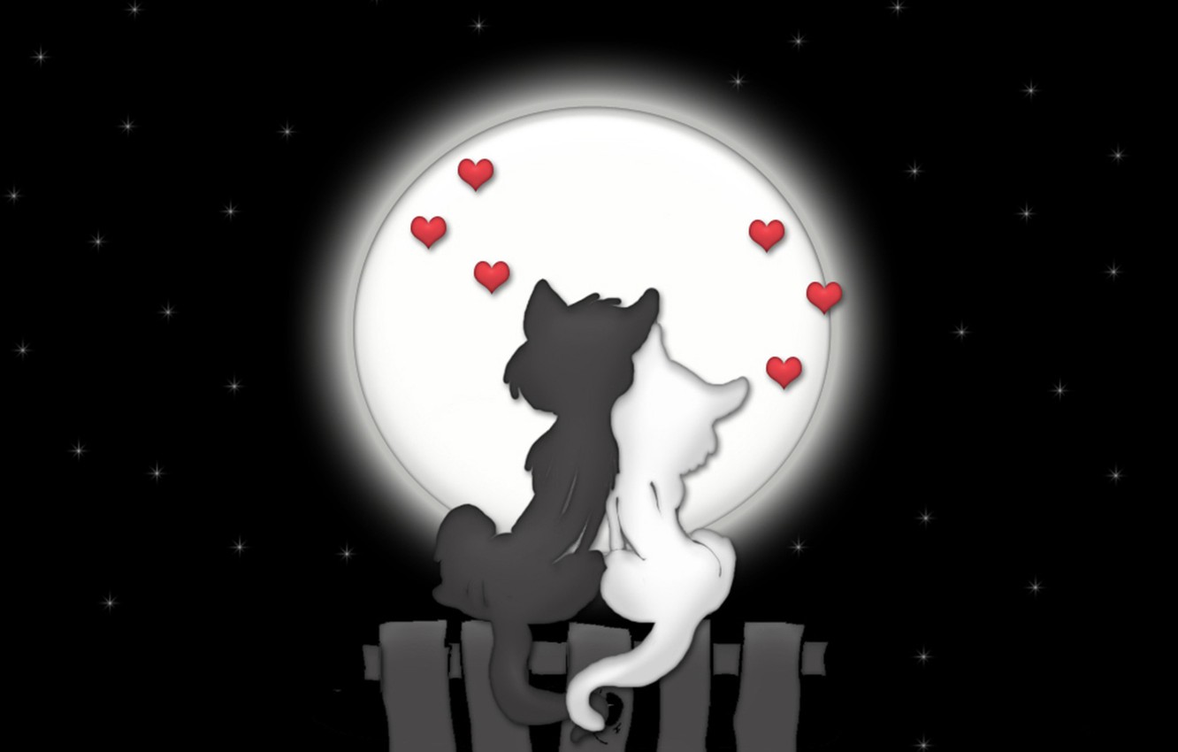 Free download Wallpaper love cats night the moon image for desktop section [1332x850] for your Desktop, Mobile & Tablet. Explore Cats On The Moon Wallpaper. Cats On The Moon