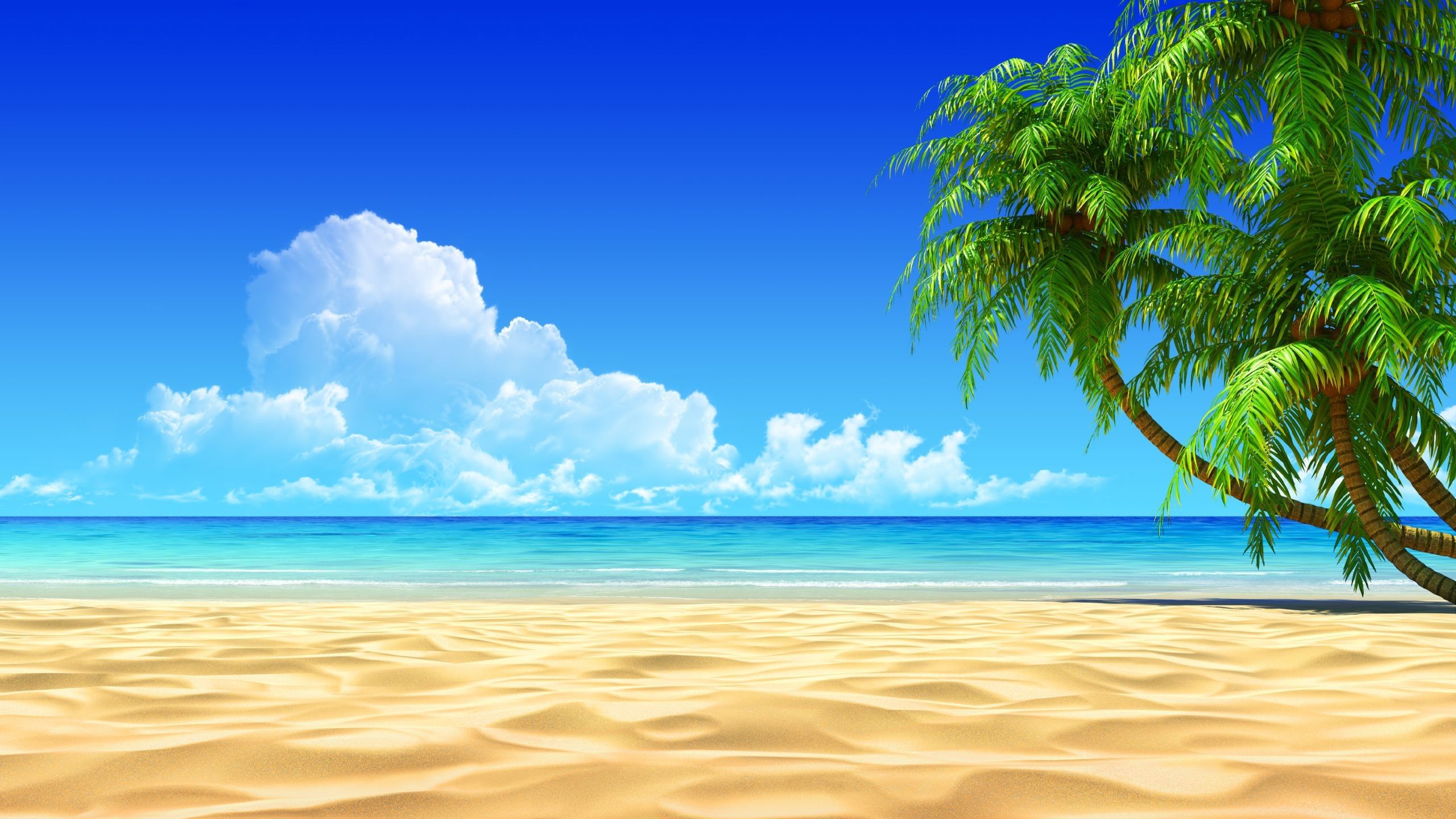 beach ocean wallpaper