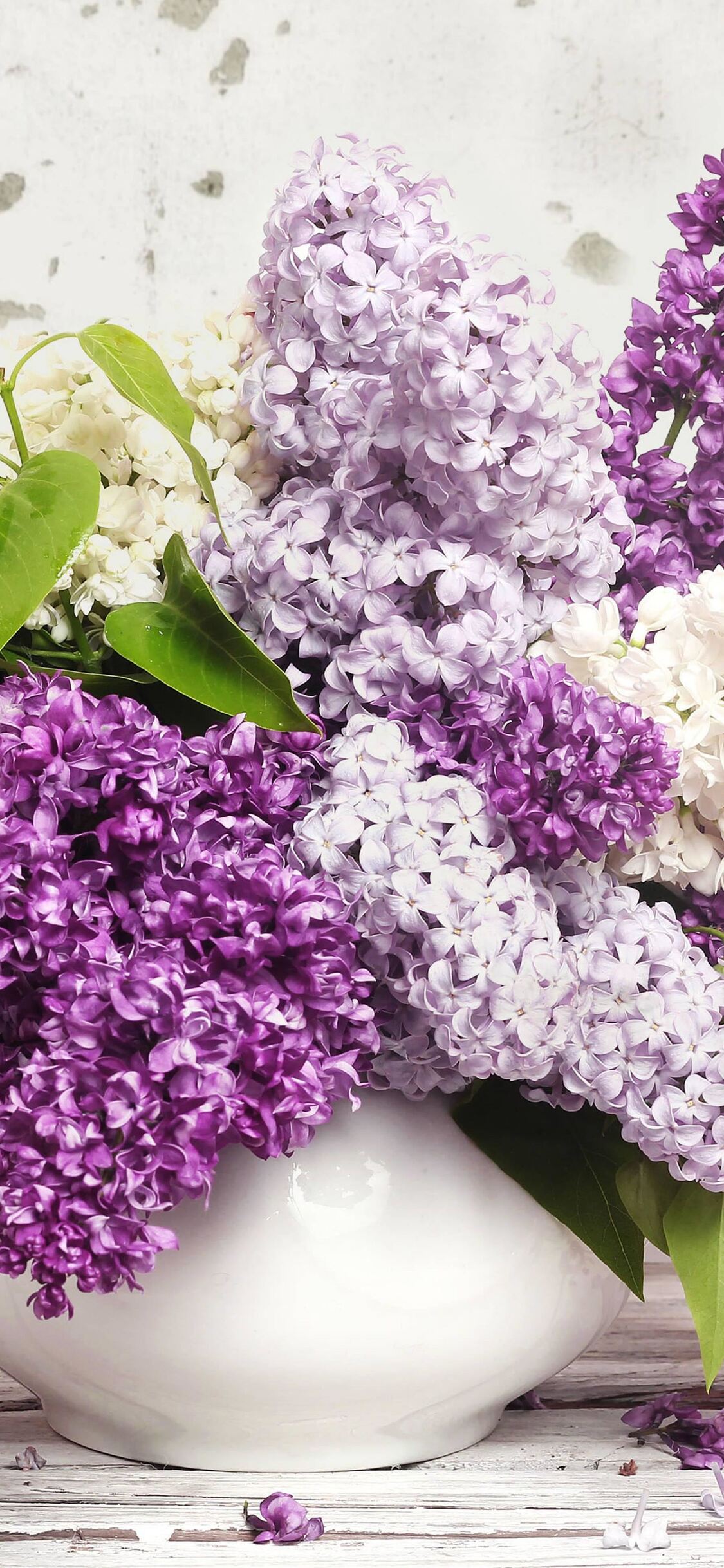 Lilac iPhone XS, iPhone iPhone X HD 4k Wallpaper, Image, Background, Photo and Picture