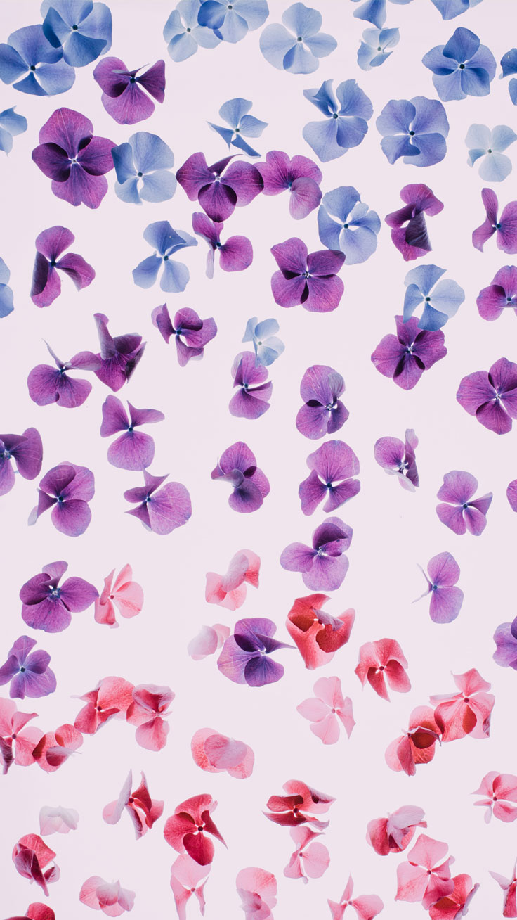 iphone wallpaper , purple, violet, lavender, pink, lilac