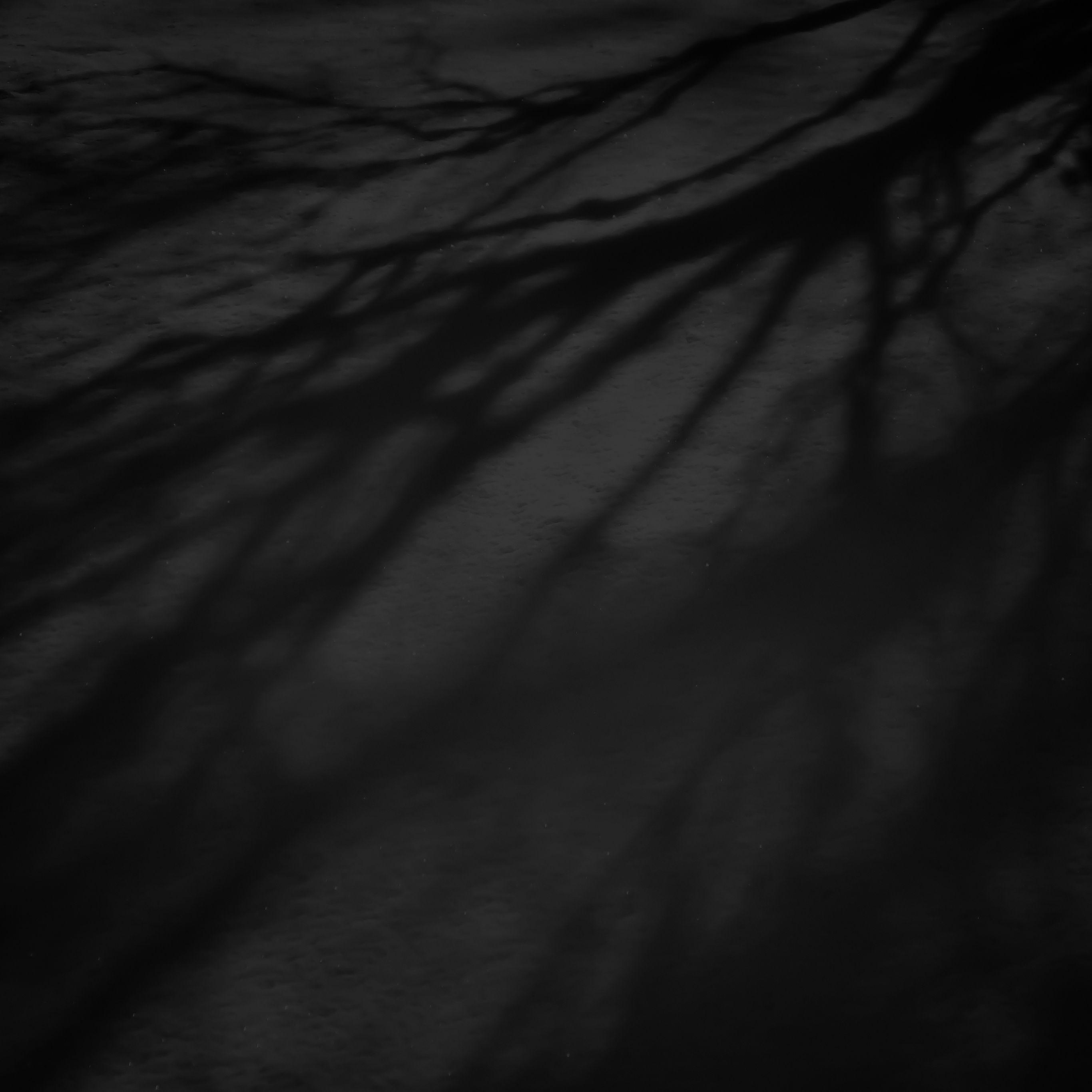Black Shade Wallpaper