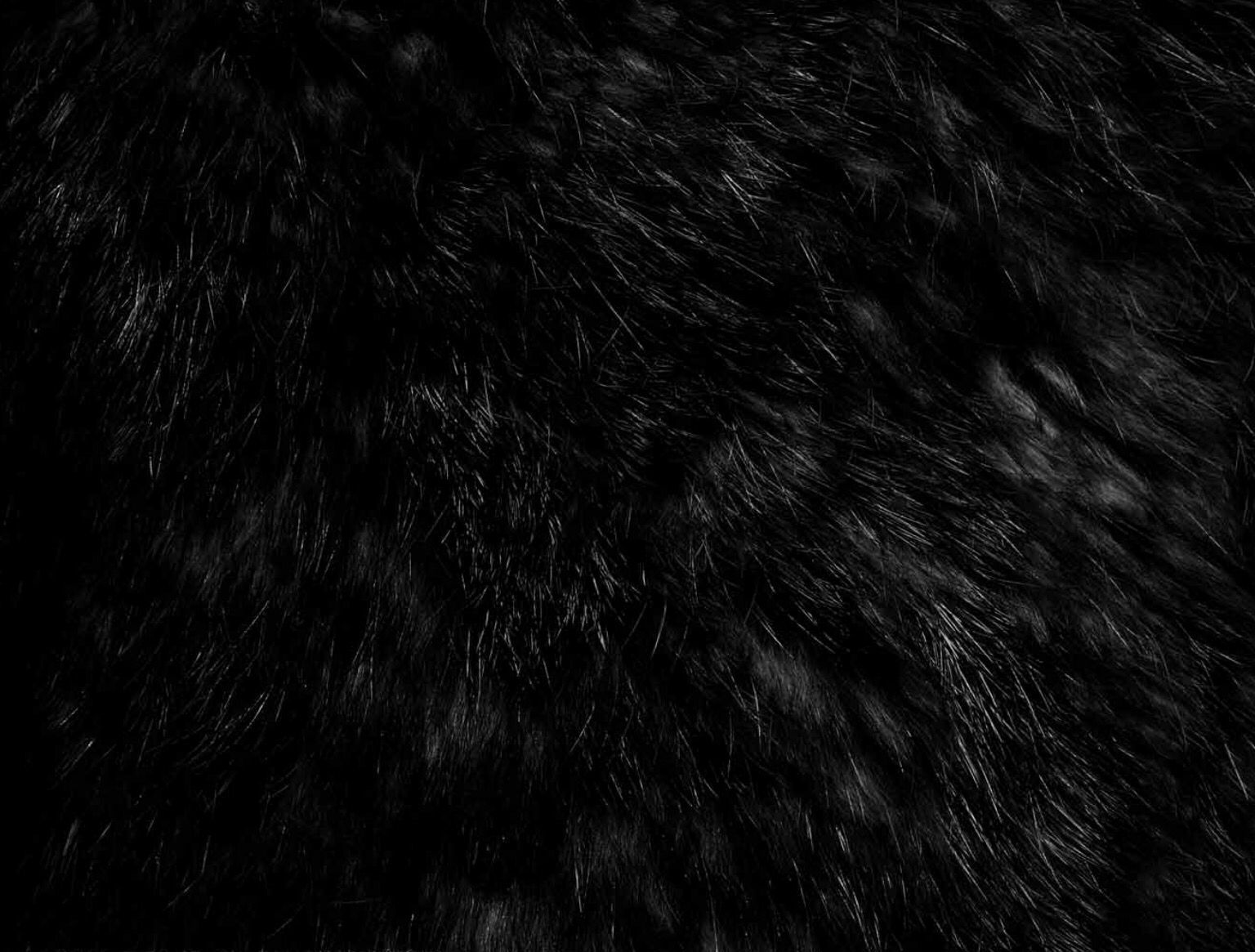 Black Fur Wallpaper