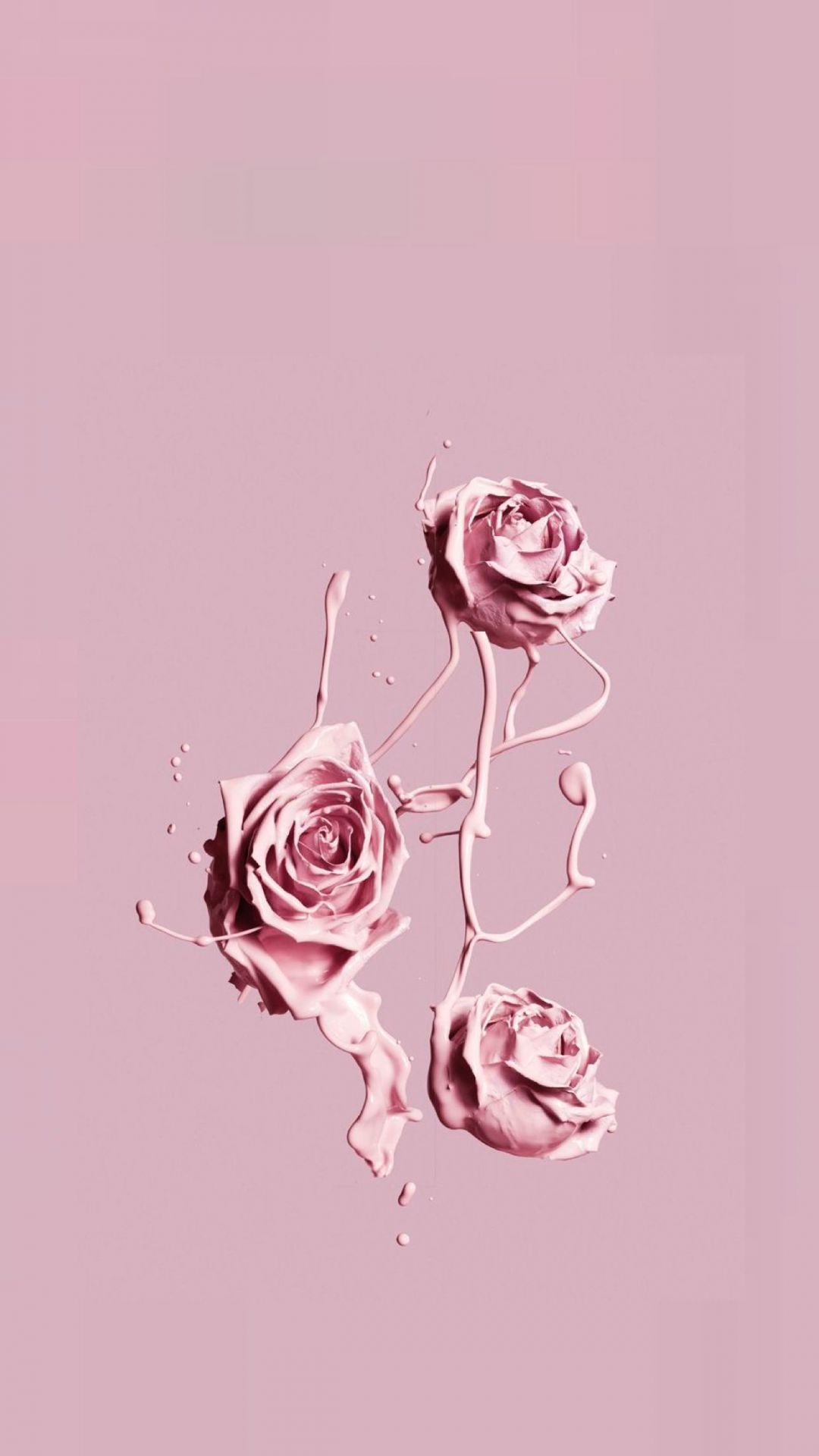 pink iphone wallpaper, pink, garden roses, rose, illustration, flower