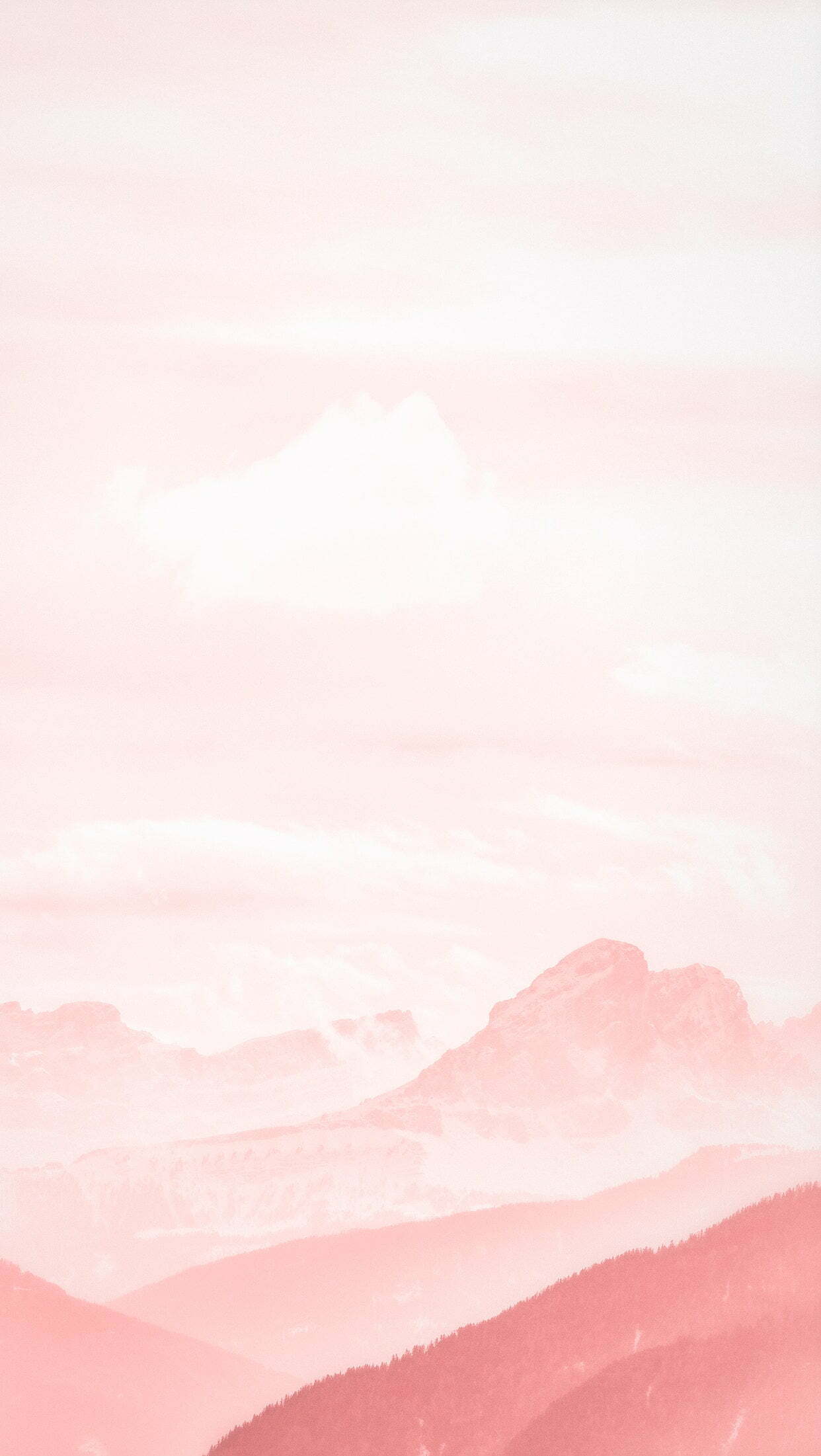 Pink wallpaper, Best iPhone Wallpaper and iPhone background, WallpaperUpdate, Best iPhone Wallpaper and iPhone background