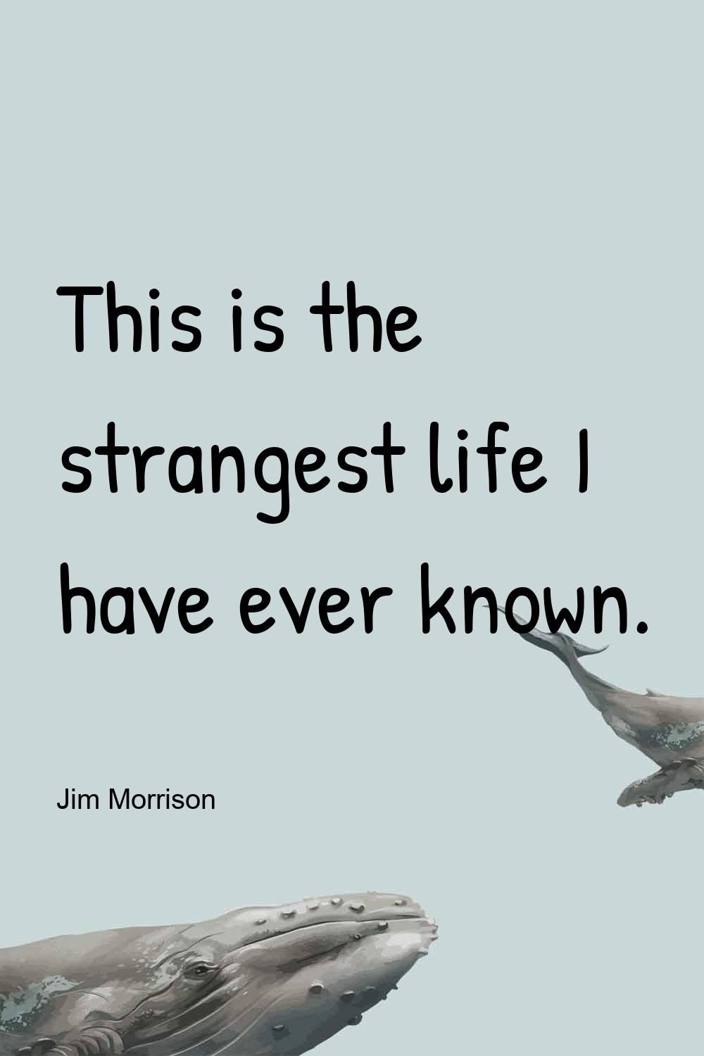 Life Sayings and Quotes. Life isn't about finding yourself. The most important thing is to enjo. Motivational quotes wallpaper, Life quotes wallpaper, Life quotes