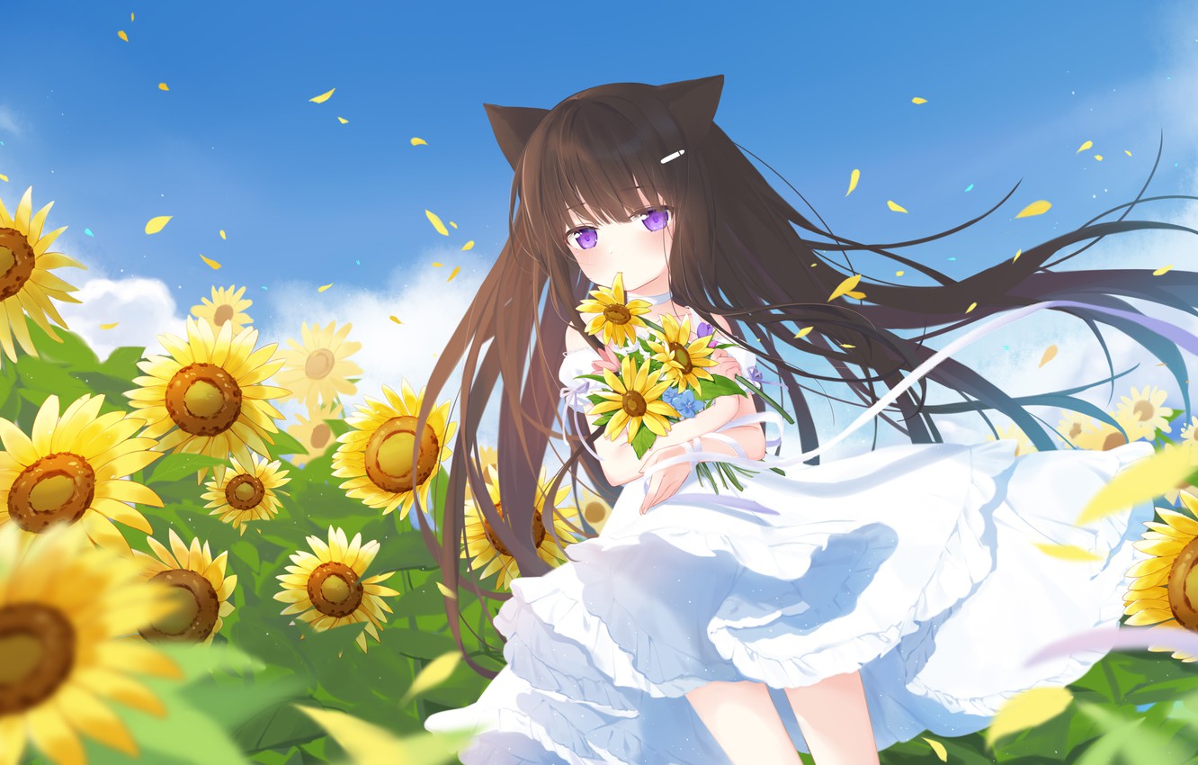 Wallpaper field, summer, the sky, sunflowers, petals, girl image for desktop, section арт