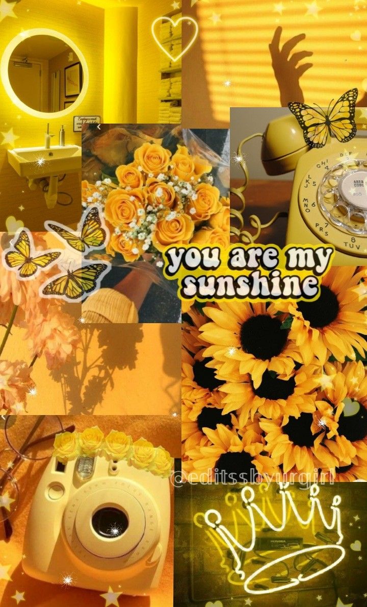 Sunflower Collage Wallpapers - Wallpaper Cave
