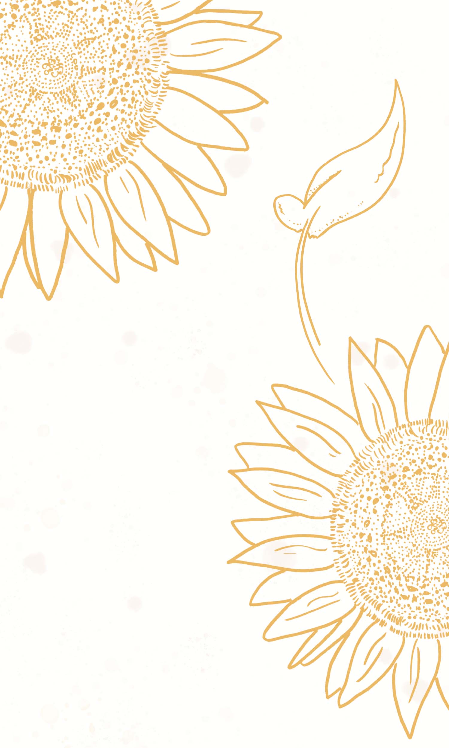 Sunflower iPhone Wallpaper Phone Background