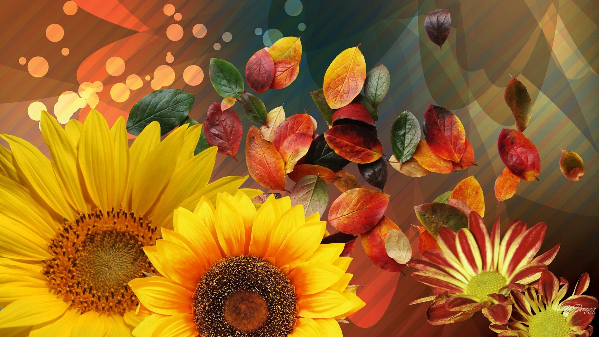 Wallpaper Sunflowers, leaves, collage 1920x1080 Full HD 2K Picture, Image